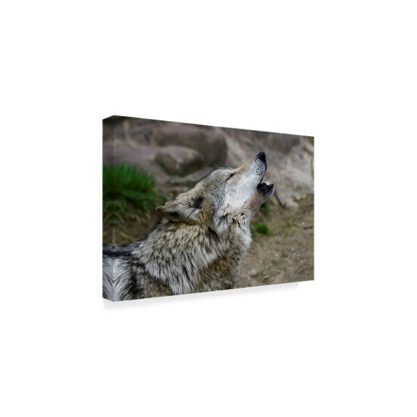 Galloimages Online 'Mexican Wolf Howling' Canvas Art,30x47